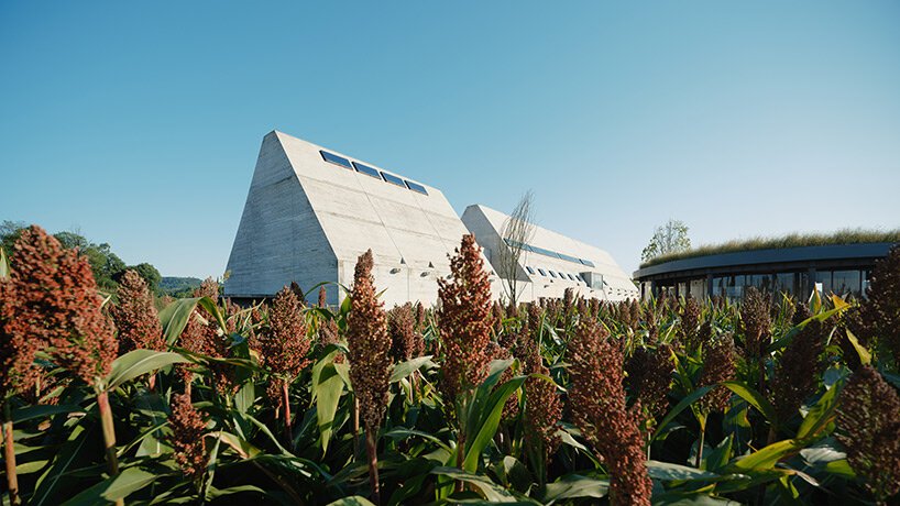 中国的混凝土谷仓坐落在同心圆区域内,将游客与大自然连接起来 中国的混凝土谷仓坐落在同心圆区域内,将游客与大自然连接起来