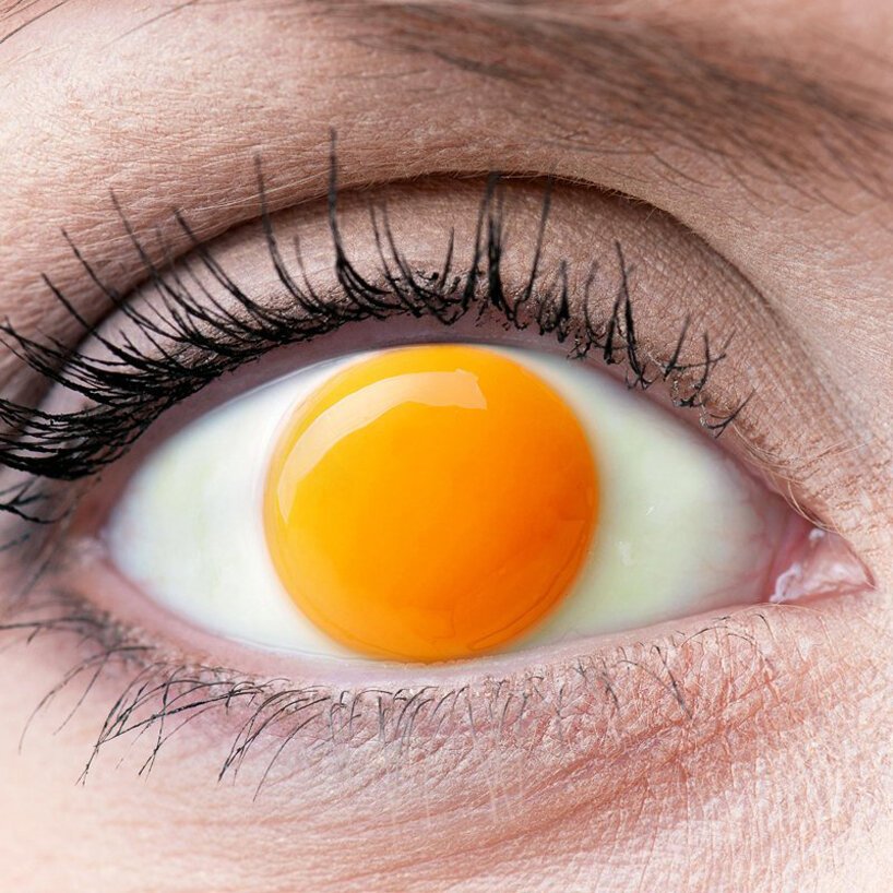 在 jyo john mulloor 的数字艺术作品中，眼睛成为自然和鸡蛋的窗户