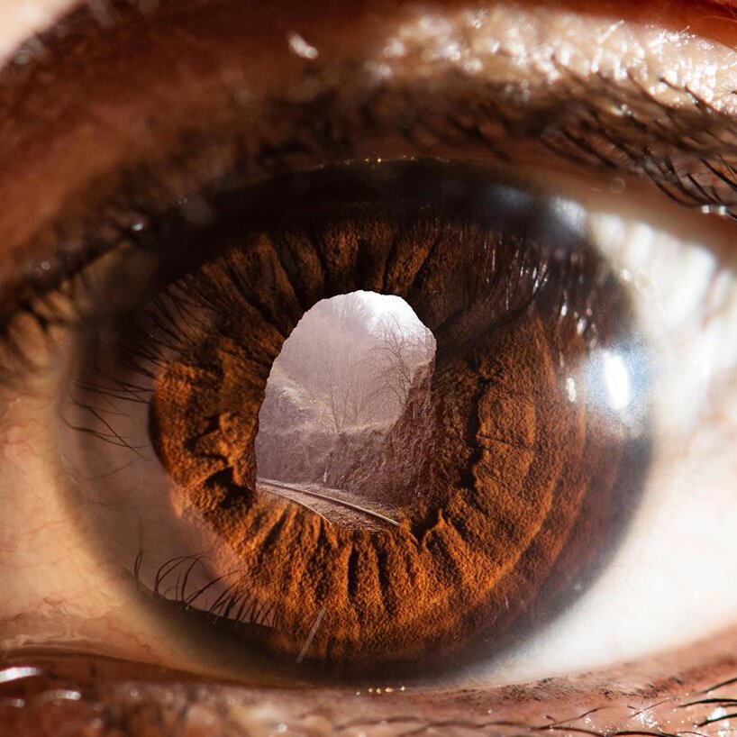 在 jyo john mulloor 的数字艺术作品中，眼睛成为自然和鸡蛋的窗户