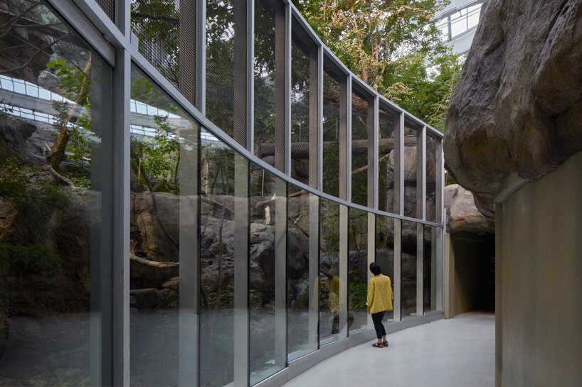 KANVA 将蒙特利尔翻修后的生物穹顶包裹在白色起伏的“活生生的皮肤”中