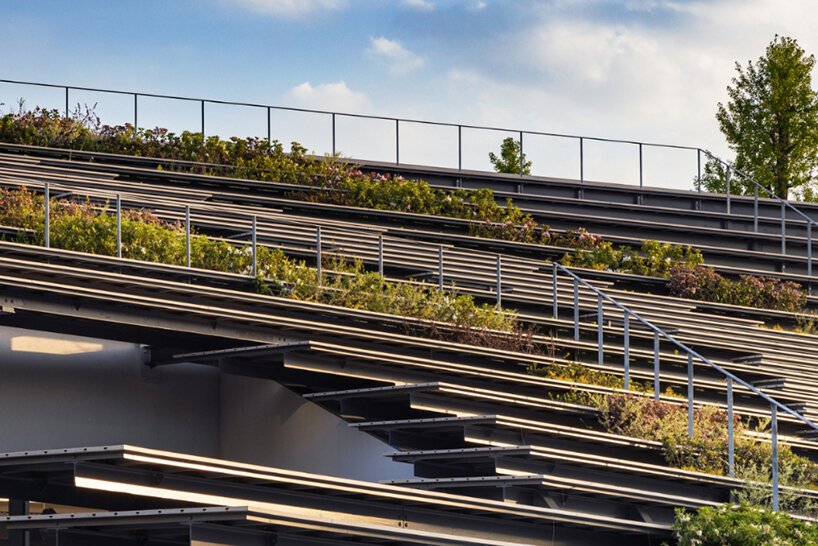 隈研吾用阶梯式绿色屋顶包围了这个地下学生中心