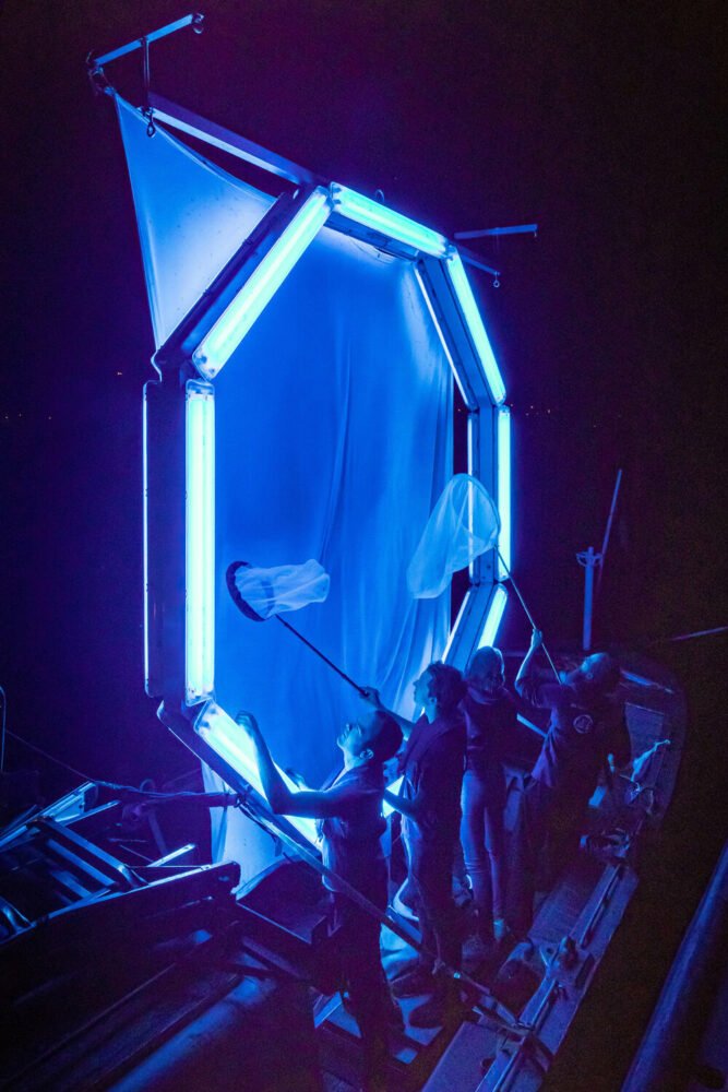 力量！光！沃尔夫斯堡艺术博物馆展览探讨灯光艺术的政治维度