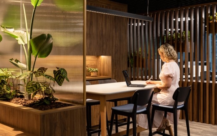 Livefirm 和 Aulfon 共享办公室 – 奥克兰