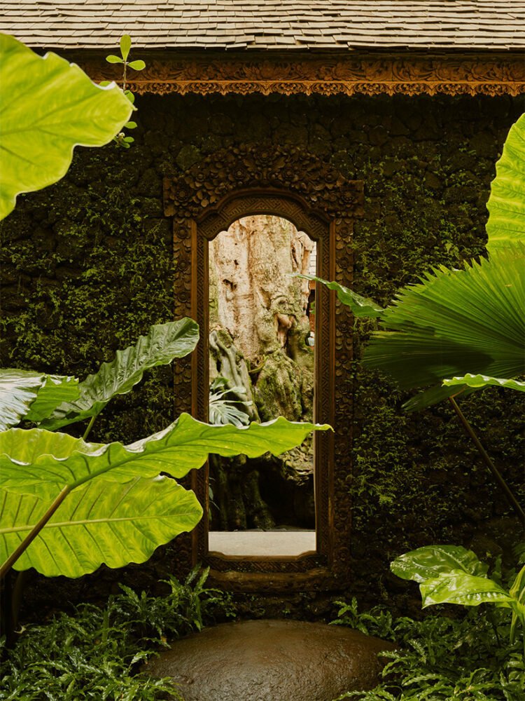 迷失的林登伯格宾客集体将高架树屋景观融入茂密的巴厘岛丛林