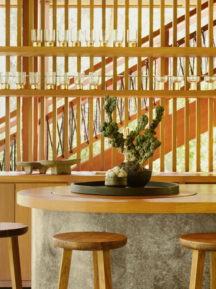 迷失的林登伯格宾客集体将高架树屋景观融入茂密的巴厘岛丛林