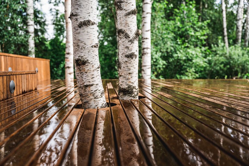 “麦德拉自然别墅”在爱沙尼亚森林中引入了一个微型酒店房间 “麦德拉自然别墅”在爱沙尼亚森林中引入了一个微型酒店房间