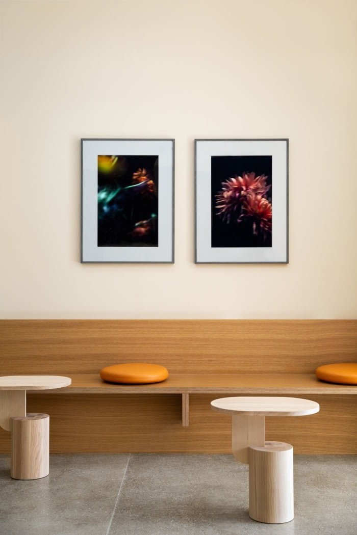 Mama Tress 办公室 – 纽约市