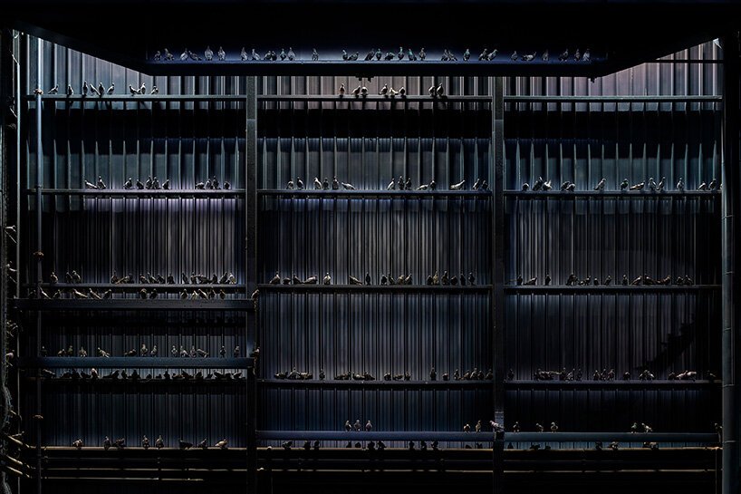 与毛里齐奥·卡特兰谈论他的“呼吸幽灵盲”节目 与毛里齐奥·卡特兰谈论他的“呼吸幽灵盲”节目