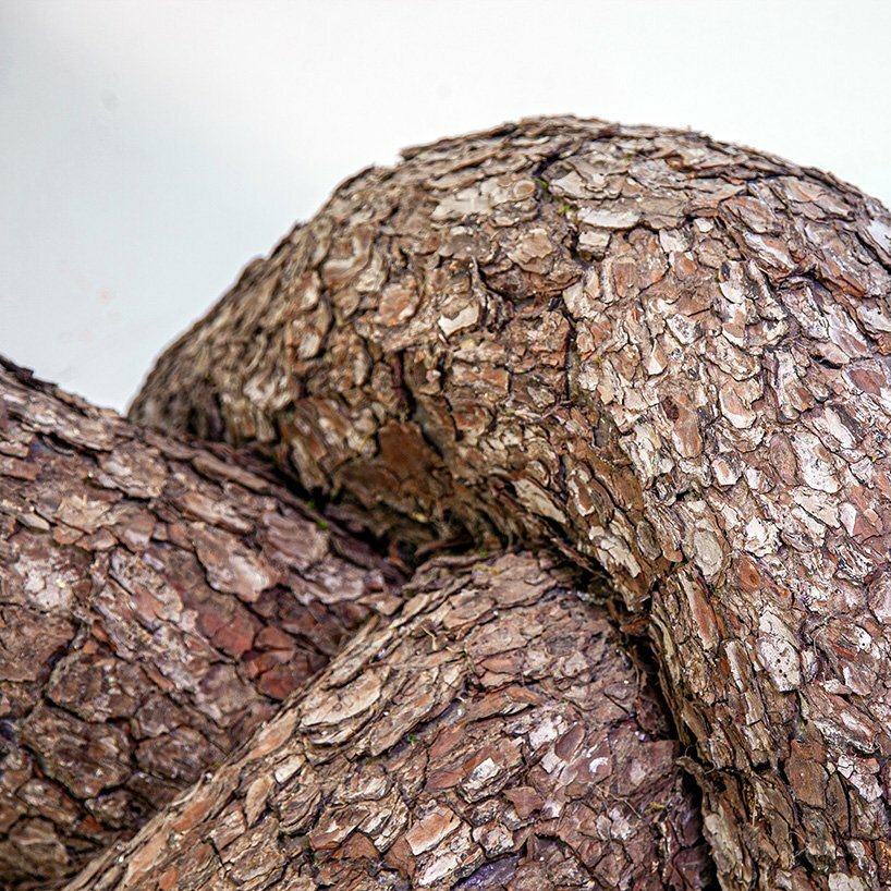 植物先生扭曲奇幻的树干雕塑,探索自然的力量 植物先生扭曲奇幻的树干雕塑,探索自然的力量