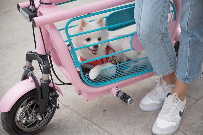 meet mopet: a compact e-scooter to take your dog for a ride