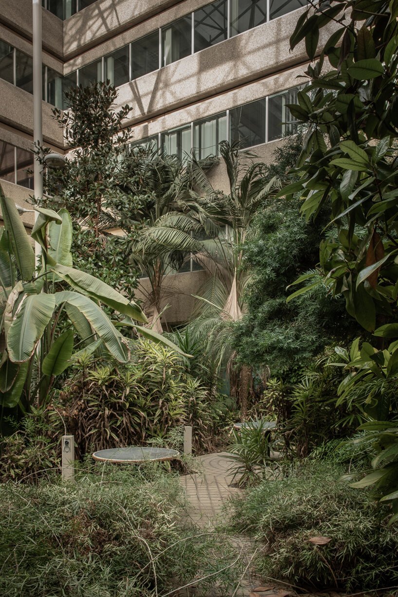  摩根·奥多诺万 (morgan o'donovan) 拍摄的热带丛林取代了英国一栋废墟办公大楼