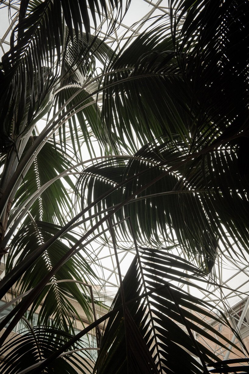  摩根·奥多诺万 (morgan o'donovan) 拍摄的热带丛林取代了英国一栋废墟办公大楼