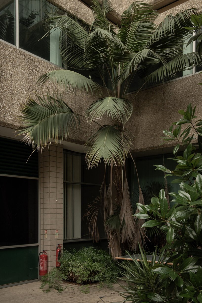  摩根·奥多诺万 (morgan o'donovan) 拍摄的热带丛林取代了英国一栋废墟办公大楼