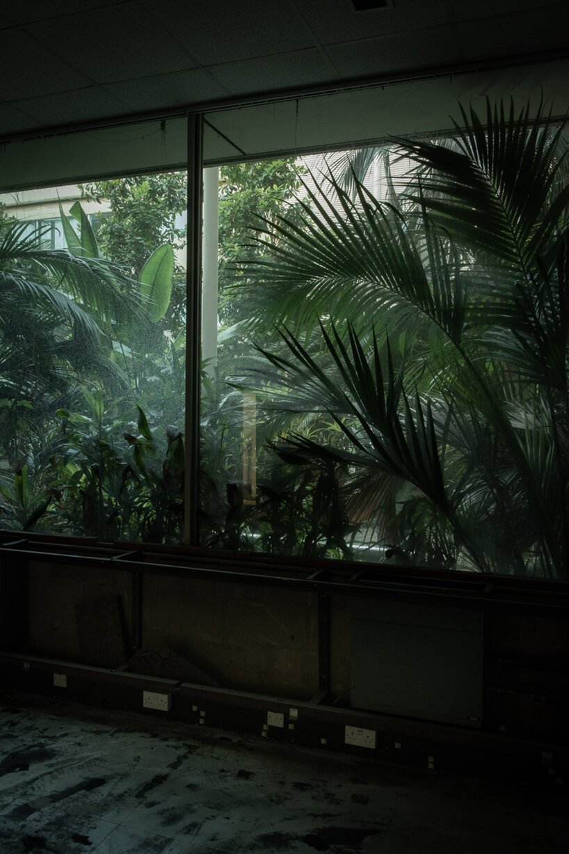  摩根·奥多诺万 (morgan o'donovan) 拍摄的热带丛林取代了英国一栋废墟办公大楼