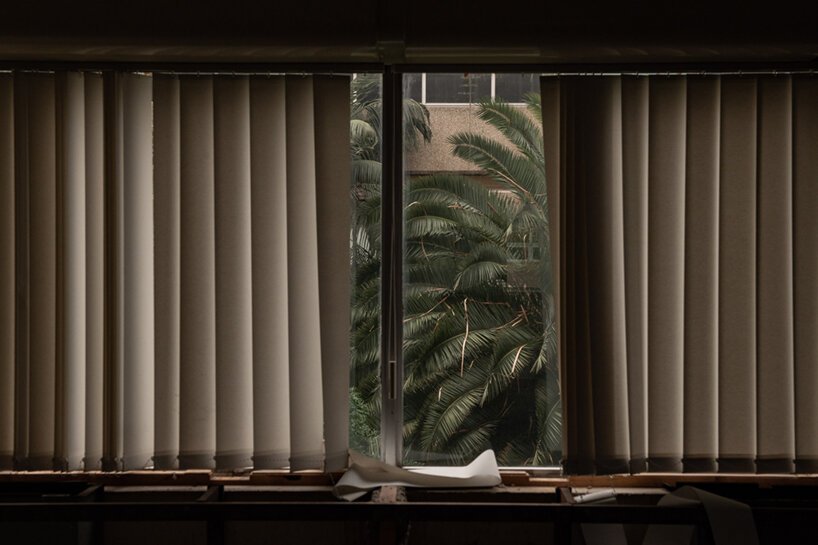  摩根·奥多诺万 (morgan o'donovan) 拍摄的热带丛林取代了英国一栋废墟办公大楼