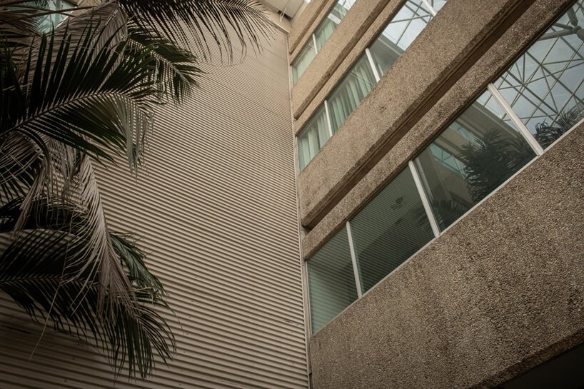  摩根·奥多诺万 (morgan o'donovan) 拍摄的热带丛林取代了英国一栋废墟办公大楼