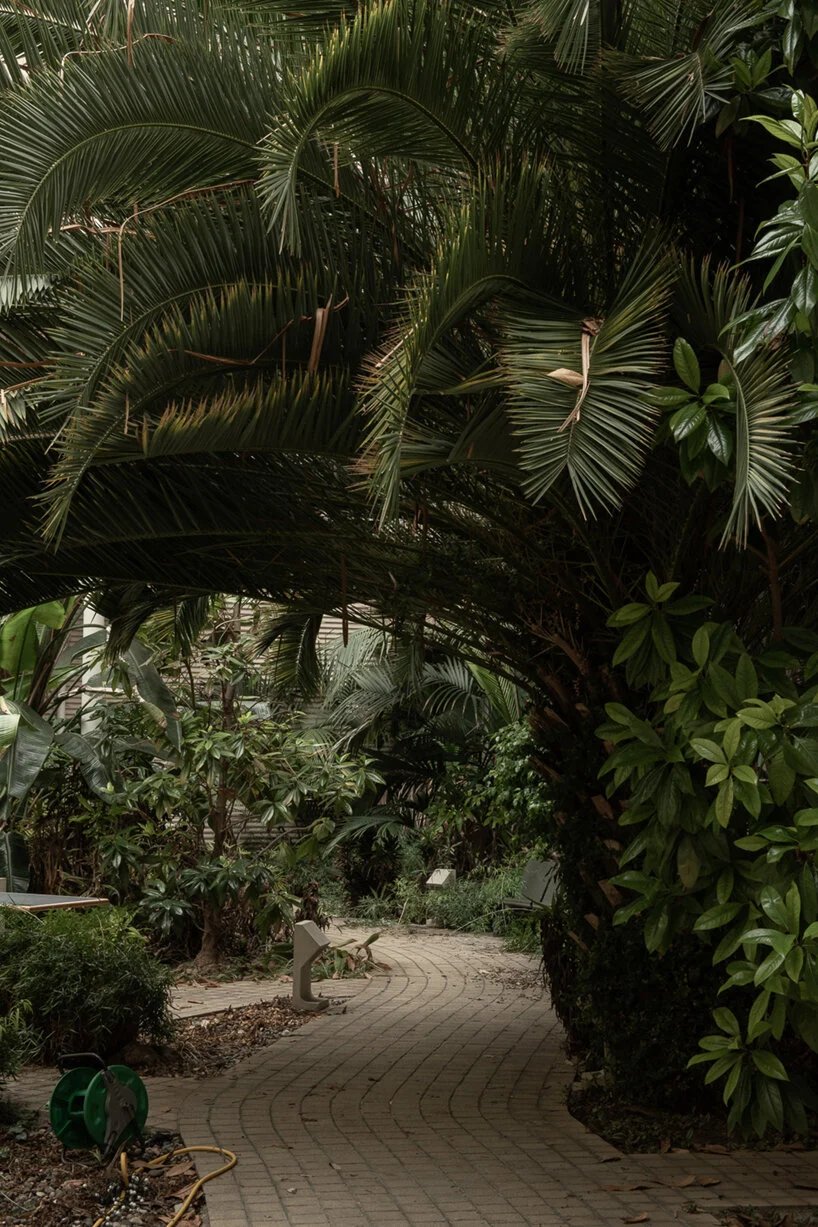  摩根·奥多诺万 (morgan o'donovan) 拍摄的热带丛林取代了英国一栋废墟办公大楼