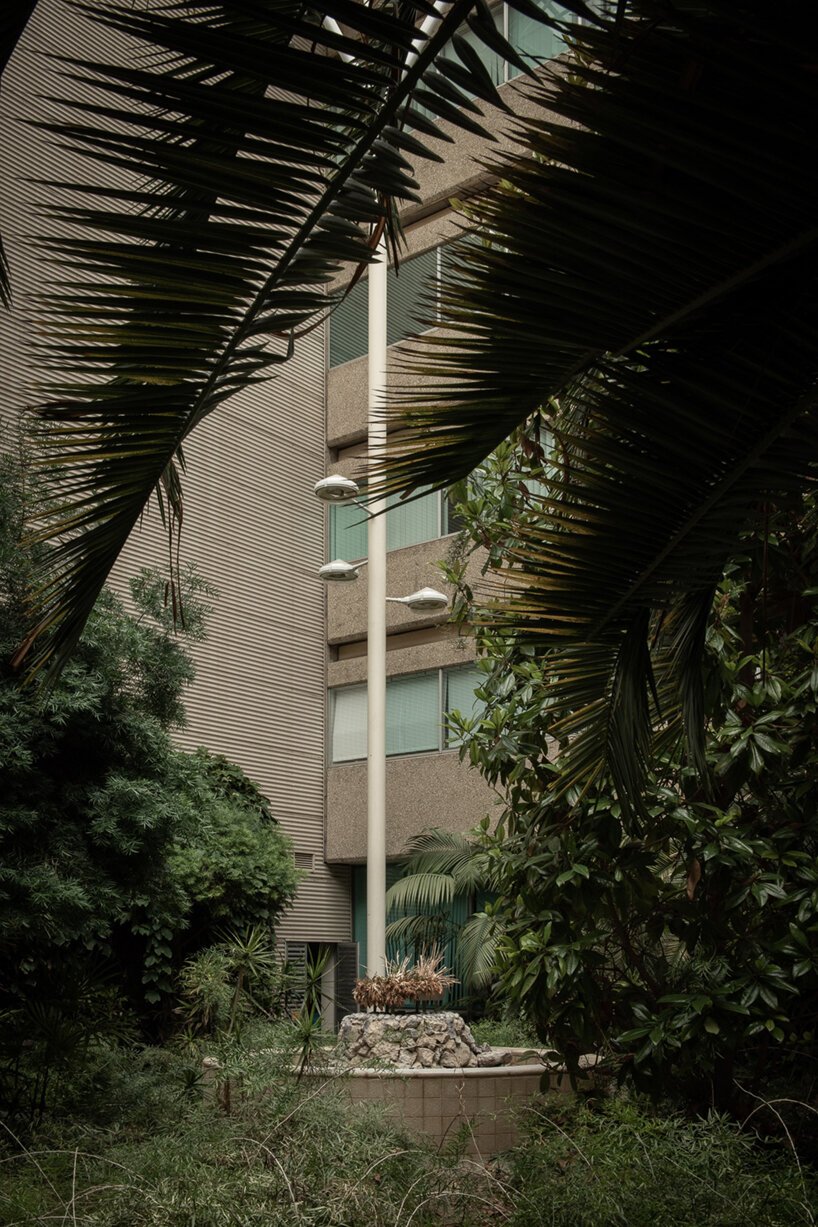  摩根·奥多诺万 (morgan o'donovan) 拍摄的热带丛林取代了英国一栋废墟办公大楼