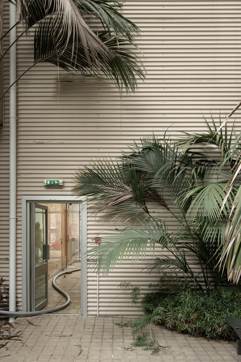  摩根·奥多诺万 (morgan o'donovan) 拍摄的热带丛林取代了英国一栋废墟办公大楼