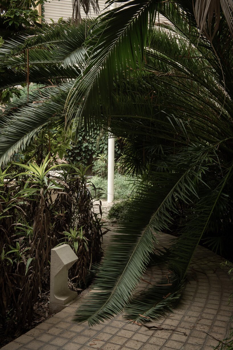  摩根·奥多诺万 (morgan o'donovan) 拍摄的热带丛林取代了英国一栋废墟办公大楼