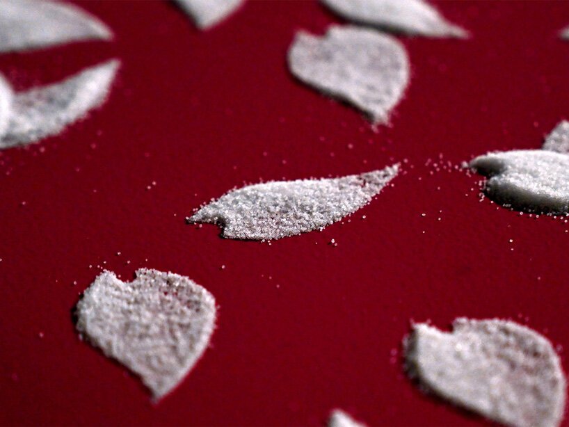 山本本井分享记忆如何塑造他令人着迷的错综复杂的盐排列