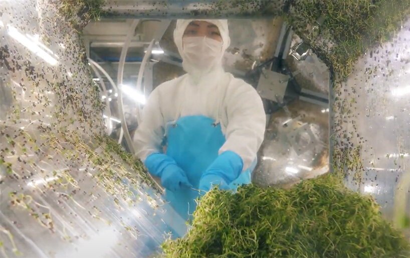 日本开设超级芽工厂，人工照明型植物工厂