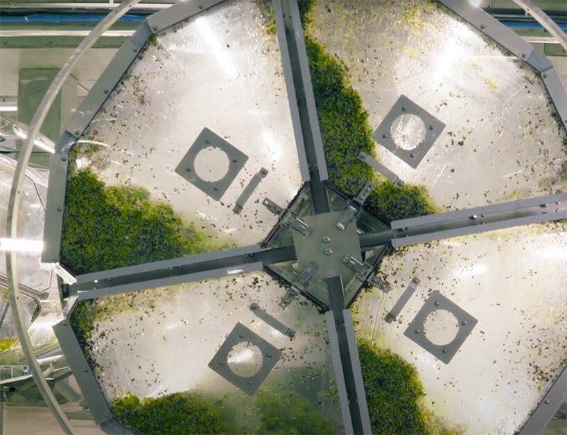 日本开设超级芽工厂，人工照明型植物工厂