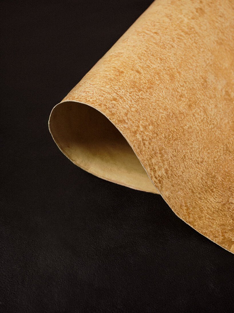 MycoWorks 联合创始人 sophia wang 畅谈菌丝体材料的未来