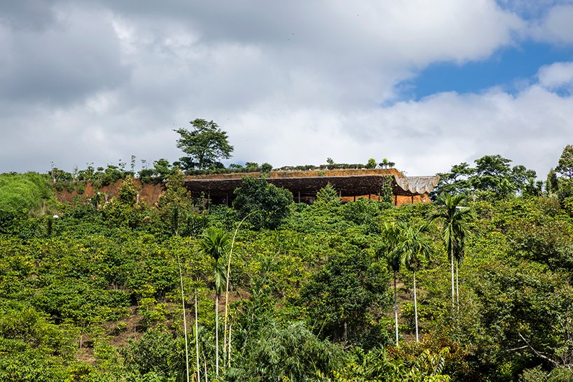 越南乡村景观中的室外咖啡馆上覆盖着穿孔木屋顶