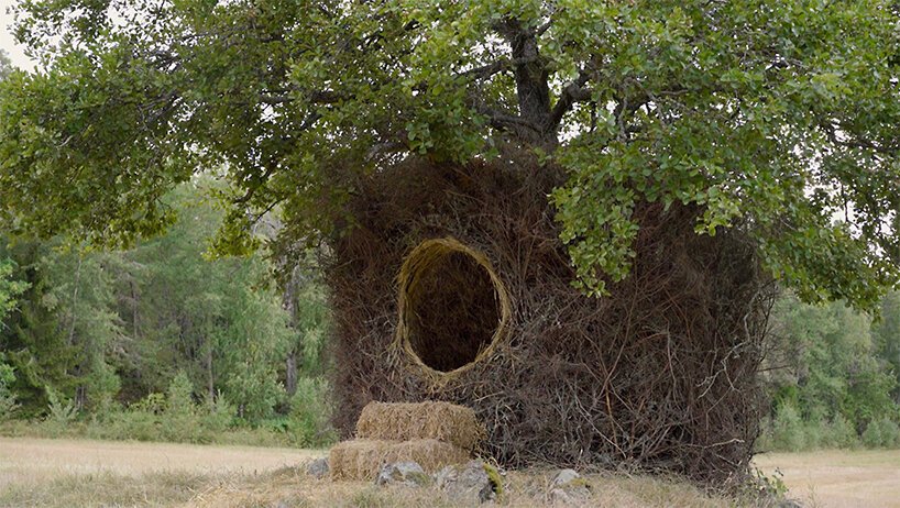 UMA + antti laitinen 将树木改造成瑞典原始的音乐会空间