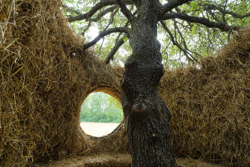 UMA + antti laitinen 将树木改造成瑞典原始的音乐会空间