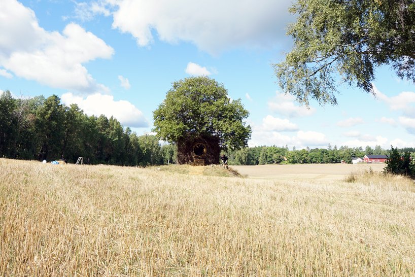 UMA + antti laitinen 将树木改造成瑞典原始的音乐会空间