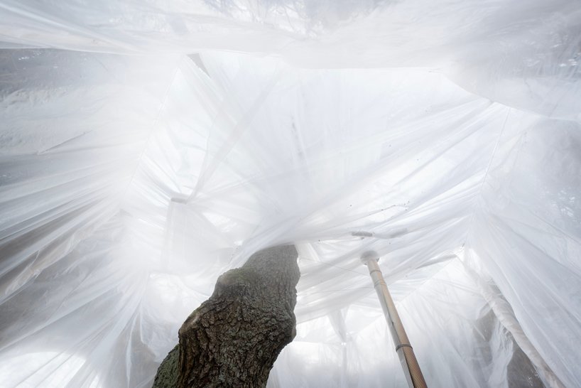 坐落在一棵桤木树下的桑拿浴室为 UMA + antti laitinen 的循环艺术系列画上了圆满的句号