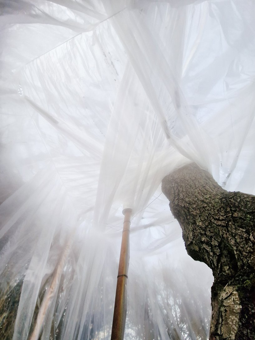 坐落在一棵桤木树下的桑拿浴室为 UMA + antti laitinen 的循环艺术系列画上了圆满的句号