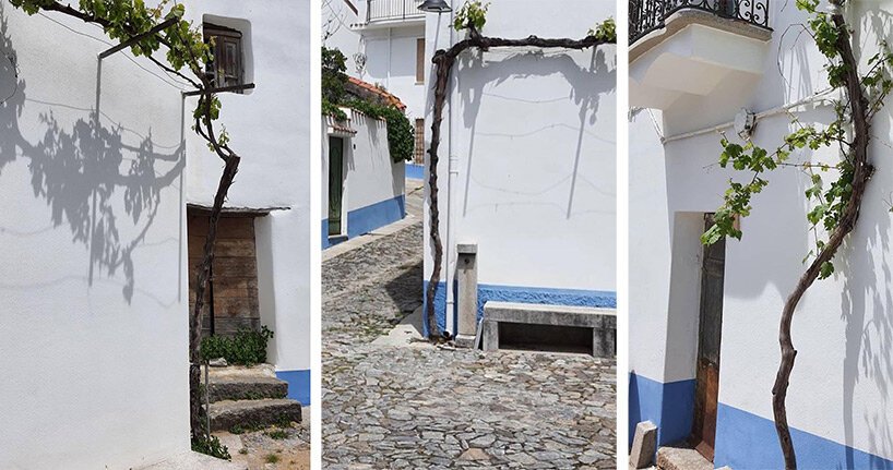 凉棚村,由 Costantino Nivola 种植的 Orani 葡萄藤和社区意识 凉棚村,由 Costantino Nivola 种植的 Orani 葡萄藤和社区意识