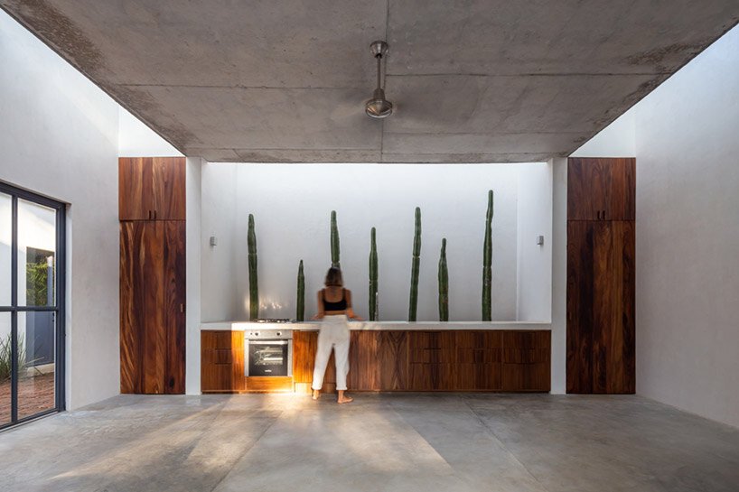 帕尔马将墨西哥废弃的“圣伊格纳西奥”房屋改造成郁郁葱葱的度假胜地