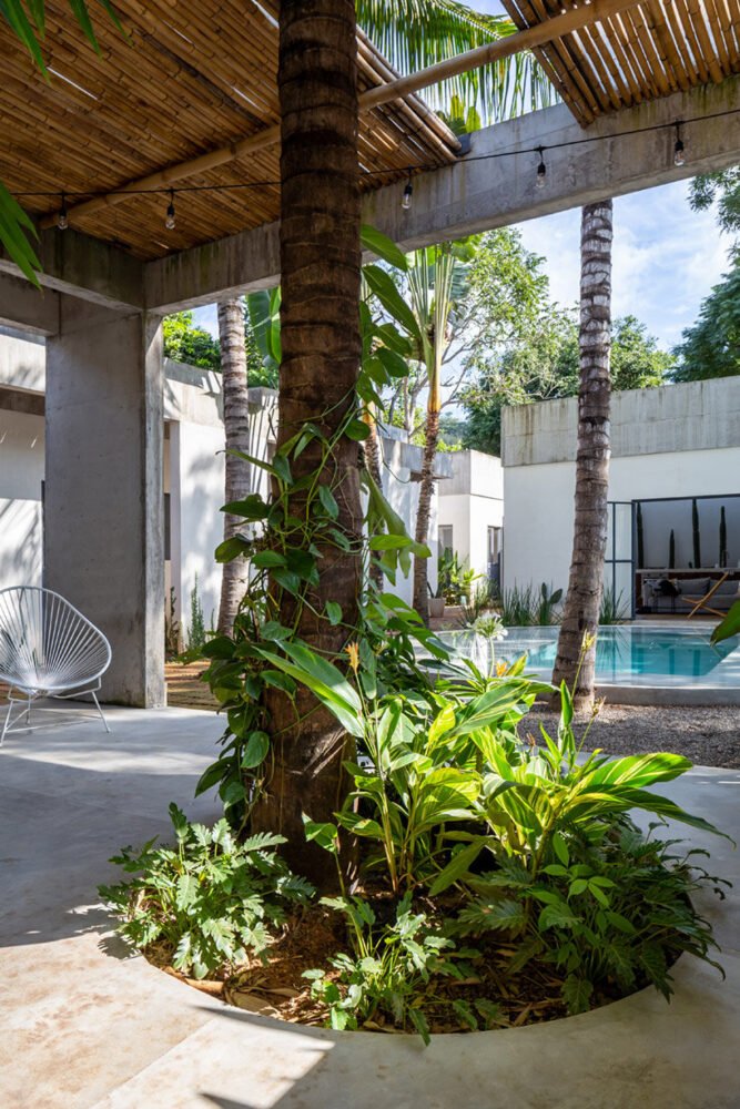 帕尔马将墨西哥废弃的“圣伊格纳西奥”房屋改造成郁郁葱葱的度假胜地