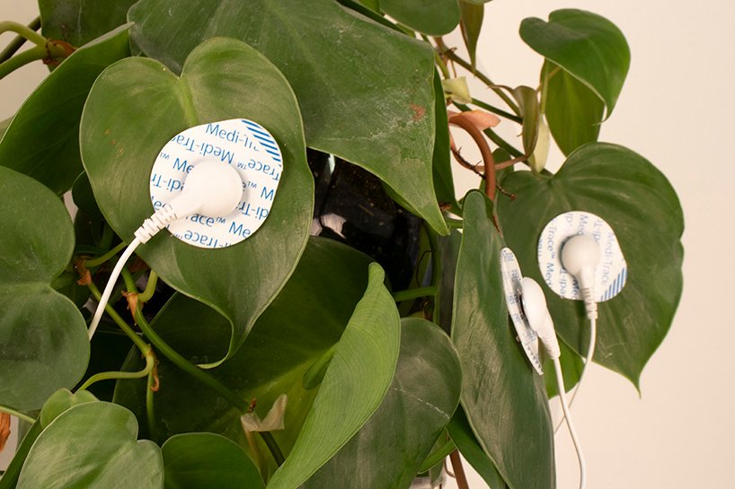 活植物通过工业机器人手臂控制砍刀