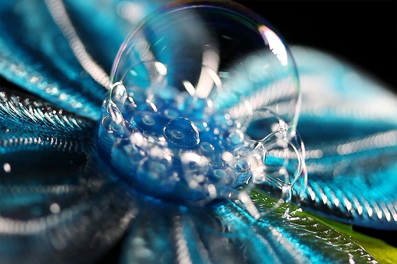 nicole hone 通过这些 3D 血管打印将技术与自然融为一体