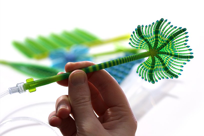 nicole hone 通过这些 3D 血管打印将技术与自然融为一体