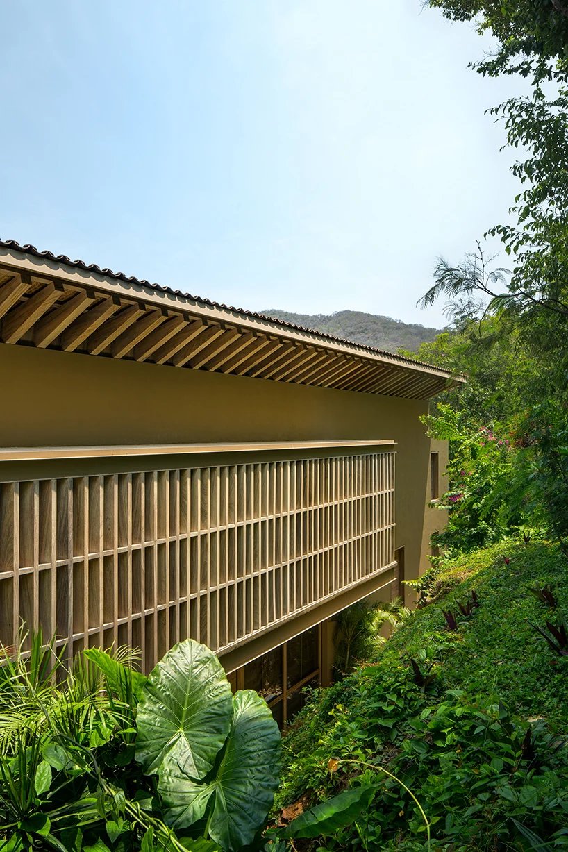 manuel cervantes estudio inserts