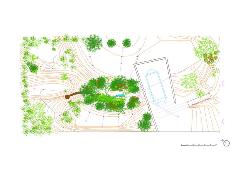 这座“兰布拉气候屋”正在恢复曾经因城市化而遭到破坏的丰富生态系统