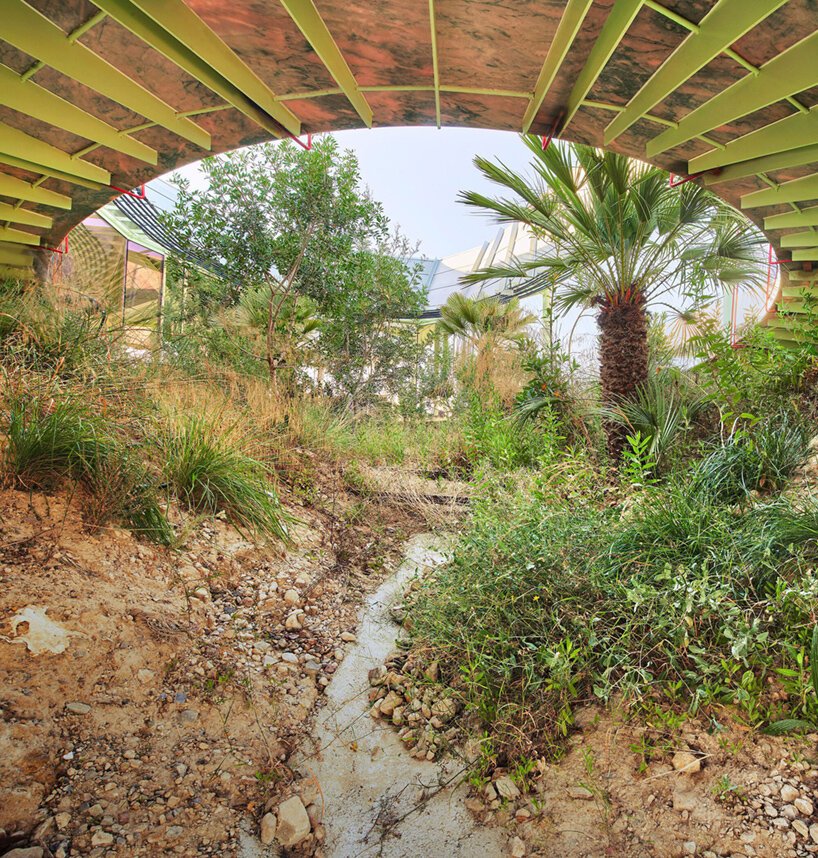 这座“兰布拉气候屋”正在恢复曾经因城市化而遭到破坏的丰富生态系统