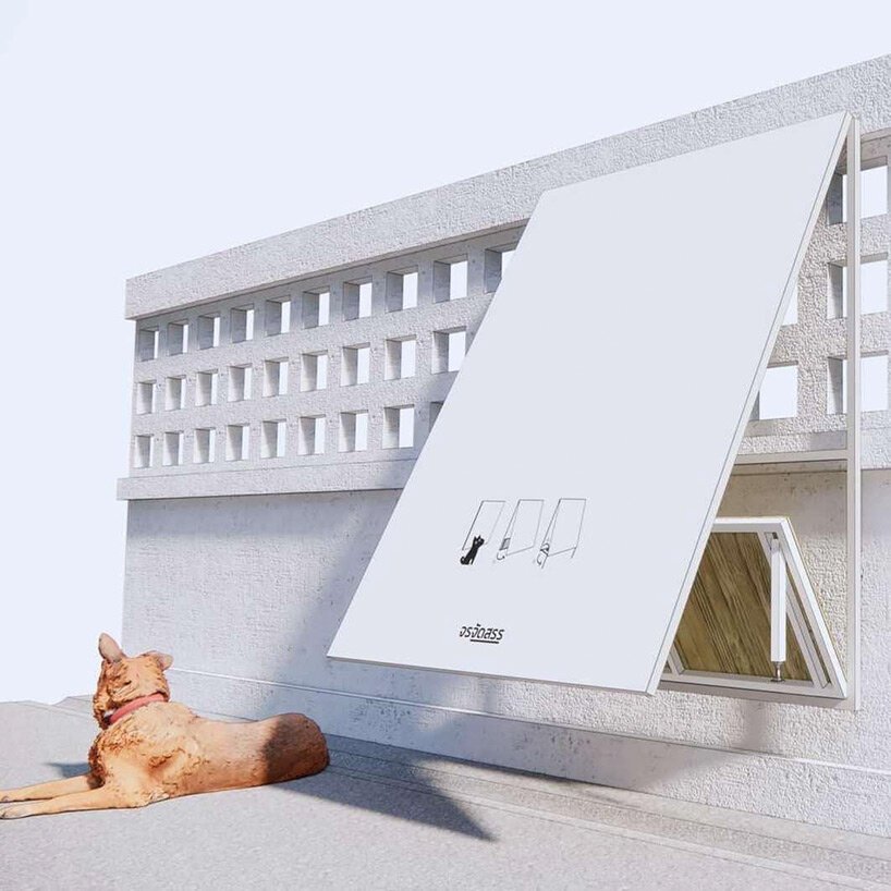 泰国的流浪狗在由广告牌改造而成的折叠结构中找到了庇护所