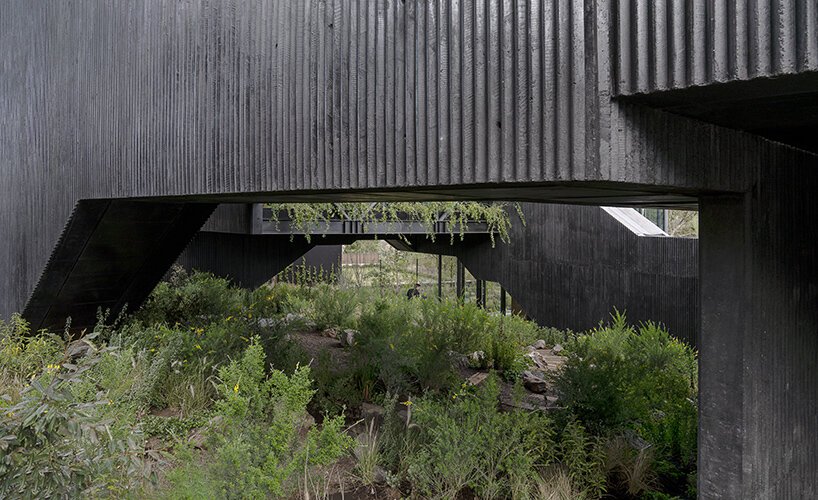 rojkind arquitectos 的 casa pasiddhi 是一座黑暗、内向的住宅,带有一个阳光明媚的花园 rojkind arquitectos 的 casa pasiddhi 是一座黑暗、内向的住宅,带有一个阳光明媚的花园