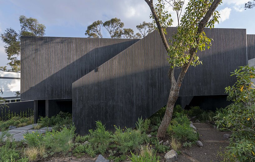 rojkind arquitectos 的 casa pasiddhi 是一座黑暗、内向的住宅,带有一个阳光明媚的花园 rojkind arquitectos 的 casa pasiddhi 是一座黑暗、内向的住宅,带有一个阳光明媚的花园