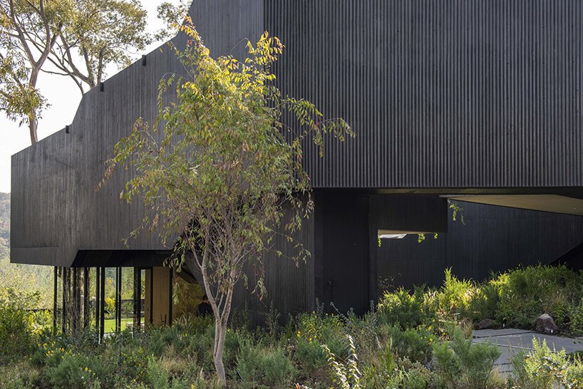 rojkind arquitectos 的 casa pasiddhi 是一座黑暗、内向的住宅,带有一个阳光明媚的花园 rojkind arquitectos 的 casa pasiddhi 是一座黑暗、内向的住宅,带有一个阳光明媚的花园