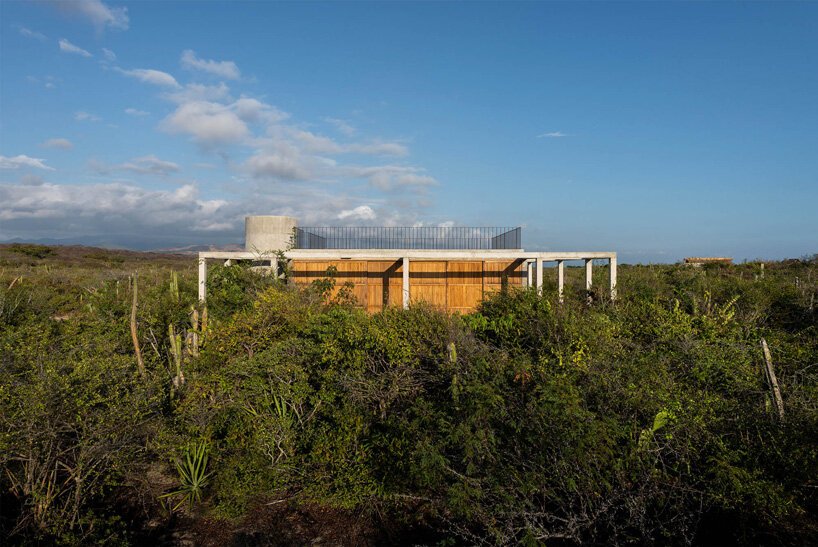 S-AR 将“casa cosmos”沉浸在墨西哥瓦哈卡海岸茂密的植被中 S-AR 将“casa cosmos”沉浸在墨西哥瓦哈卡海岸茂密的植被中