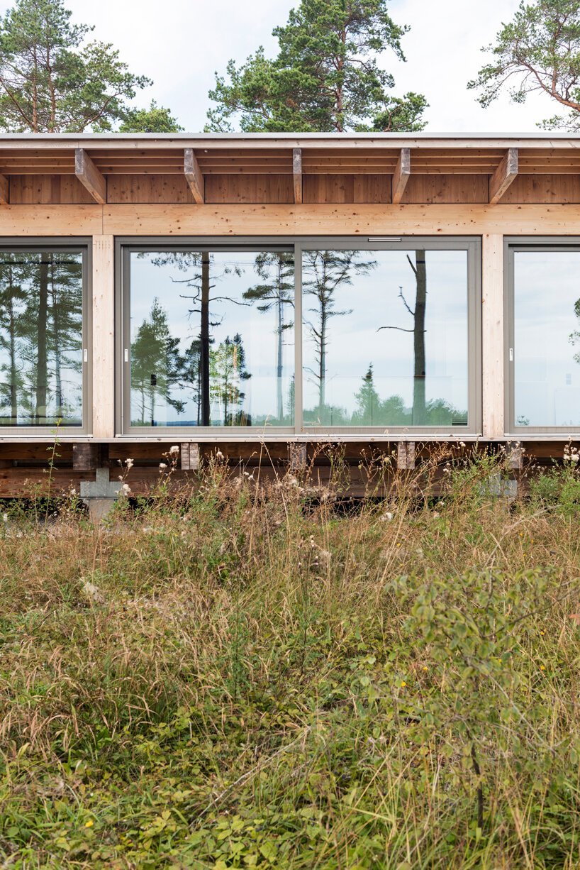 scott rasmusson källander builds five timber houses on a swedish island designboom