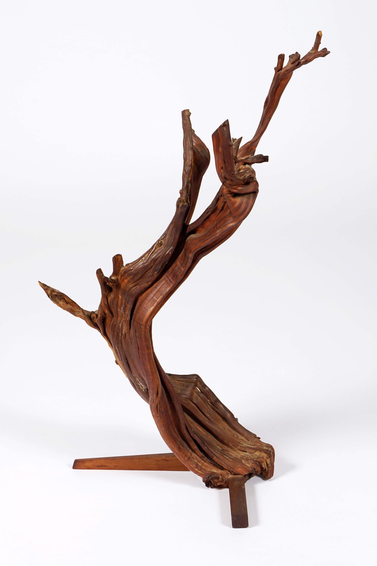 “松风庄 + 现代主义”探索中世纪日本与美国之间的艺术交流 “松风庄 + 现代主义”探索中世纪日本与美国之间的艺术交流